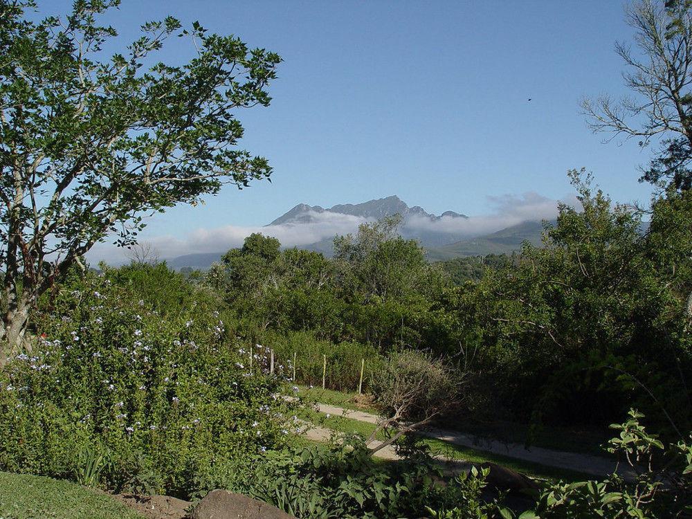 Wilderness Metanoia Villa Ngoại thất bức ảnh