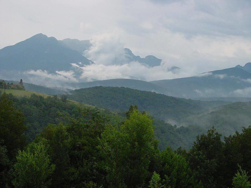 Wilderness Metanoia Villa Ngoại thất bức ảnh